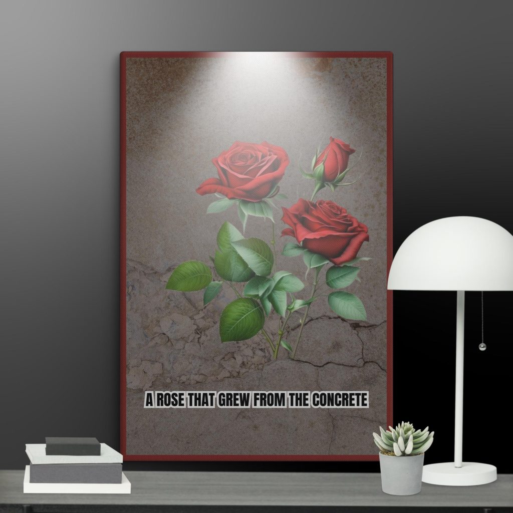Rose in the Concrete Canvas