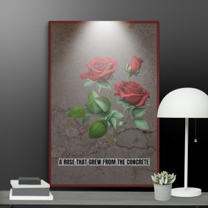 Rose in the Concrete Canvas